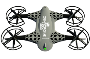 Zenadrone-1000-image-300x196.png